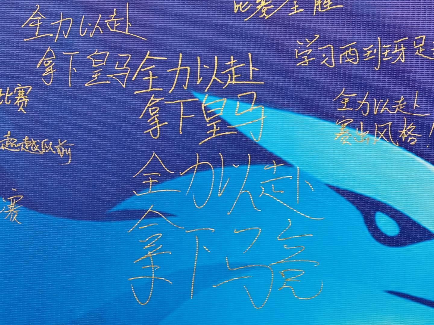 BG视讯展示图片