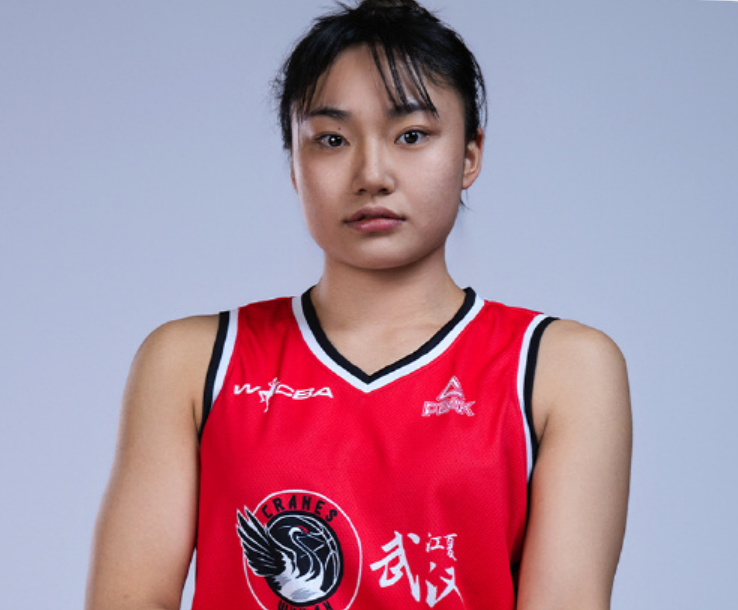 BG视讯相关图片